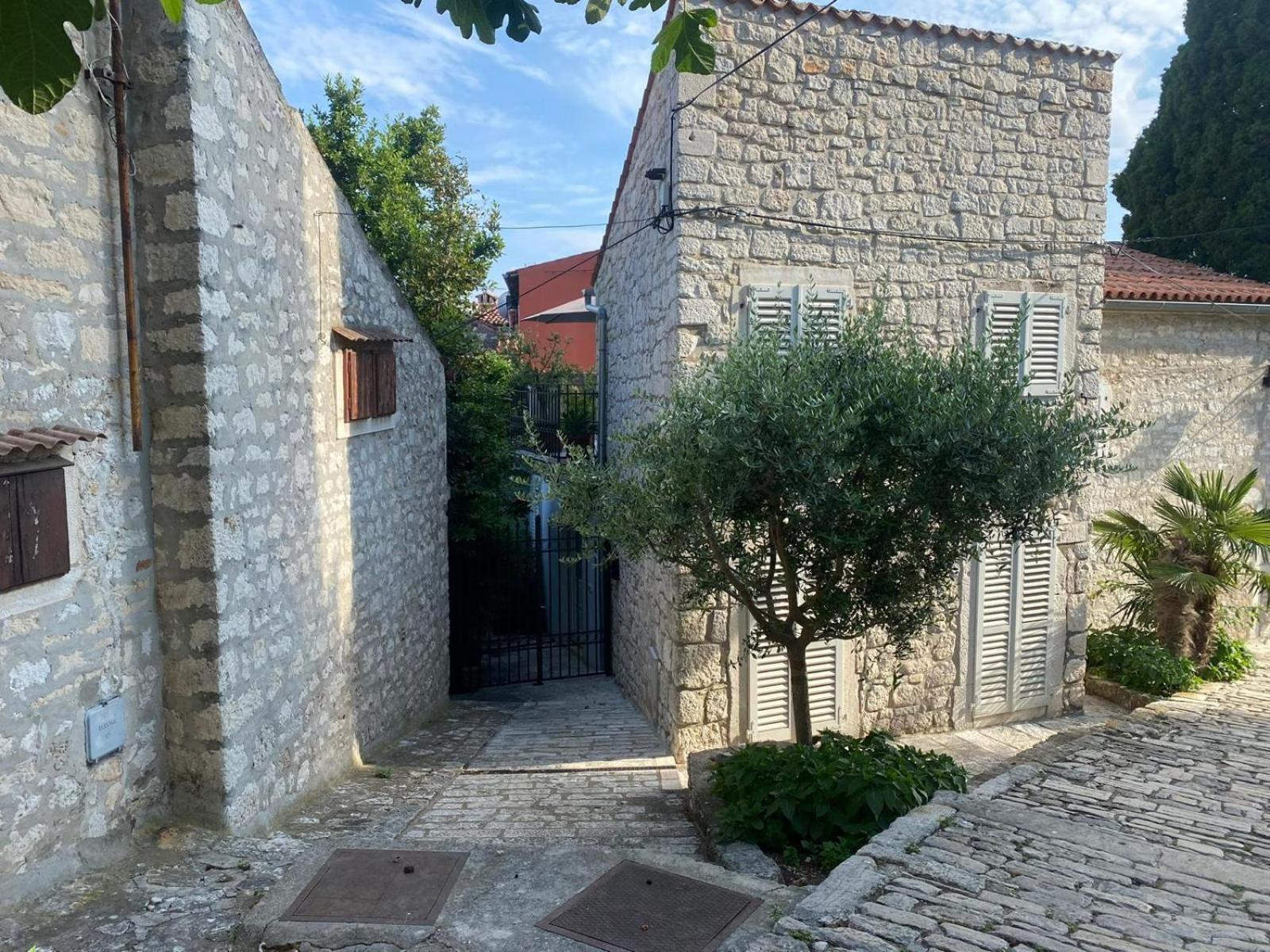 Villa Seaview House Rosali Rovigno Esterno foto